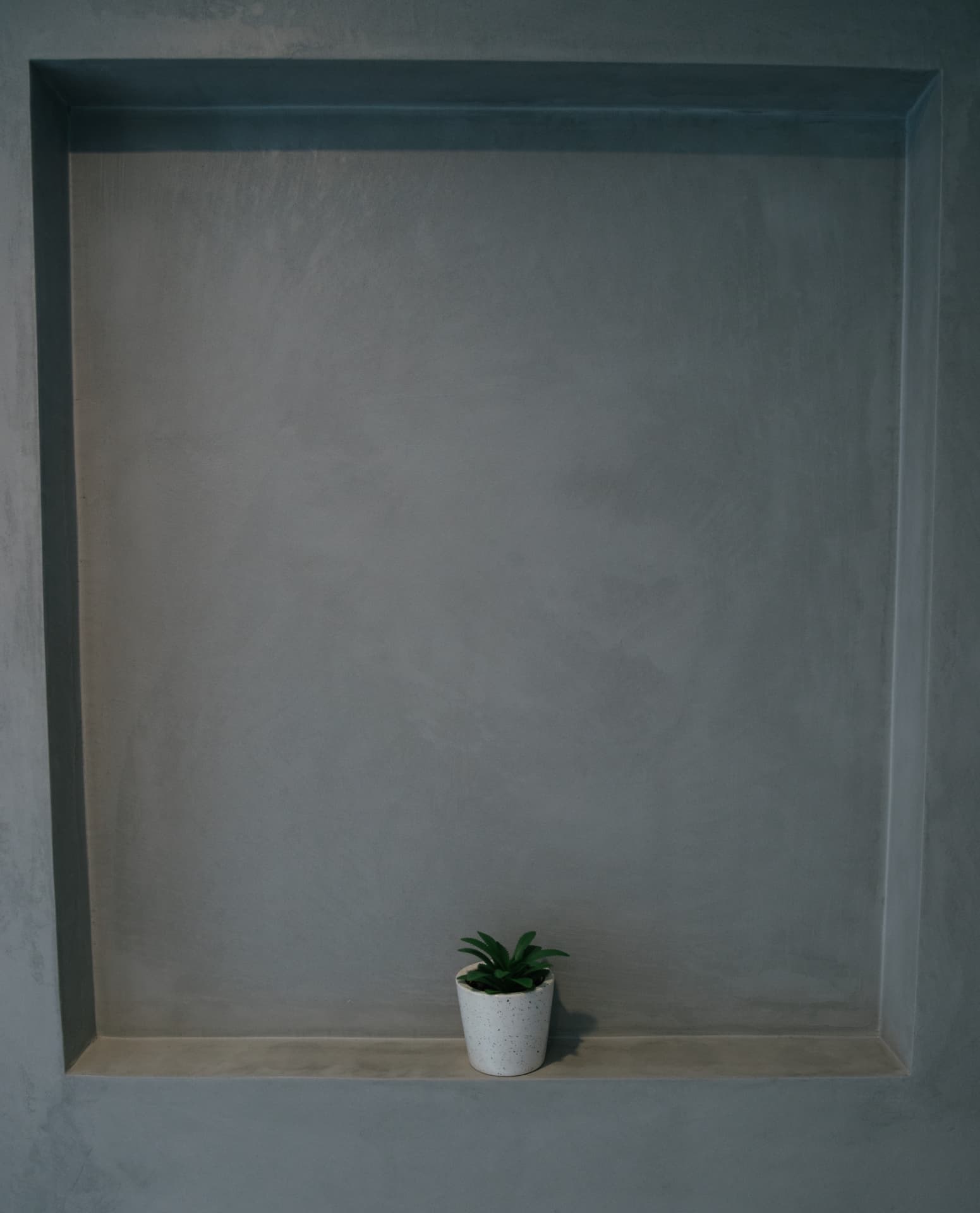 Recessed plaster niche with a single potted plant
