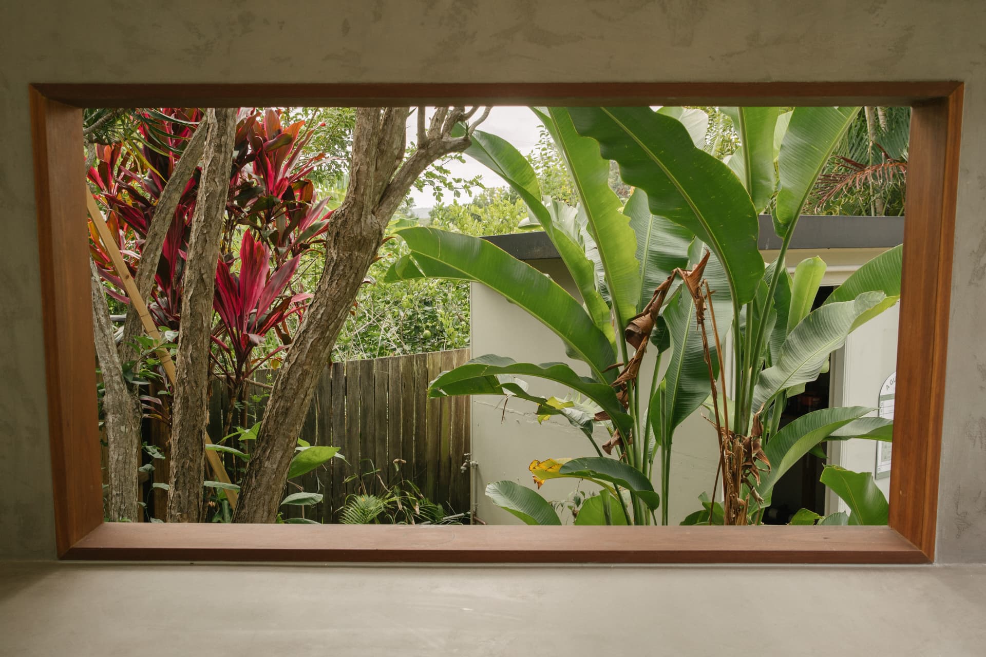 Hardwood-framed window aperture looking out to tropical foliage
