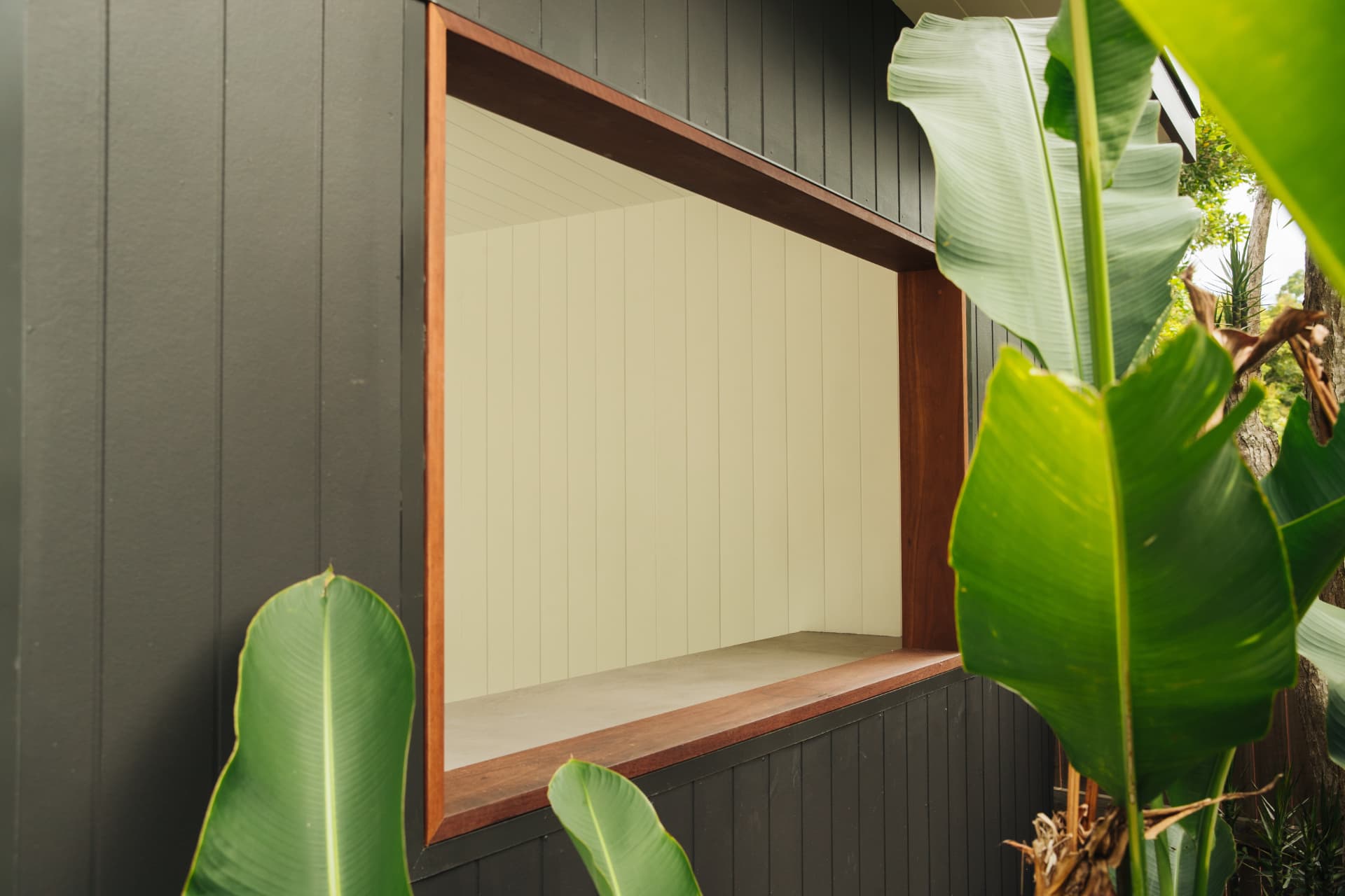 Charcoal-clad Northern Rivers home with a timber-framed window opening, framed by tropical foliage